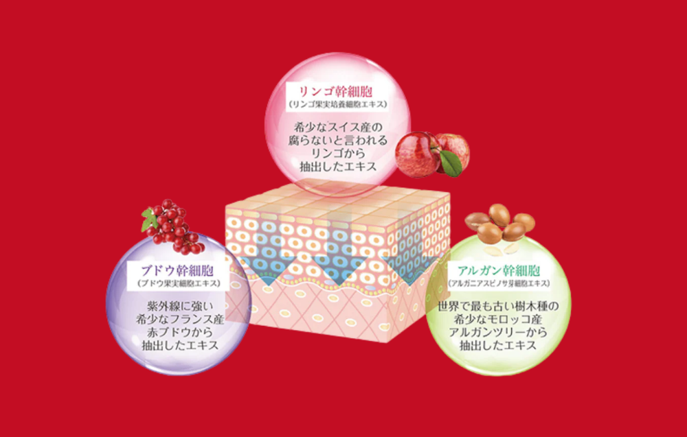 3つの希少な
<span>植物幹細胞成分</span>配合